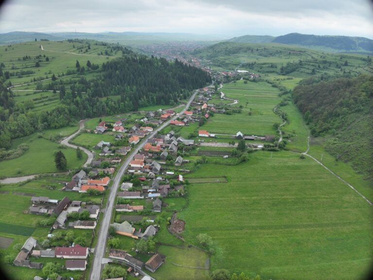 Poza