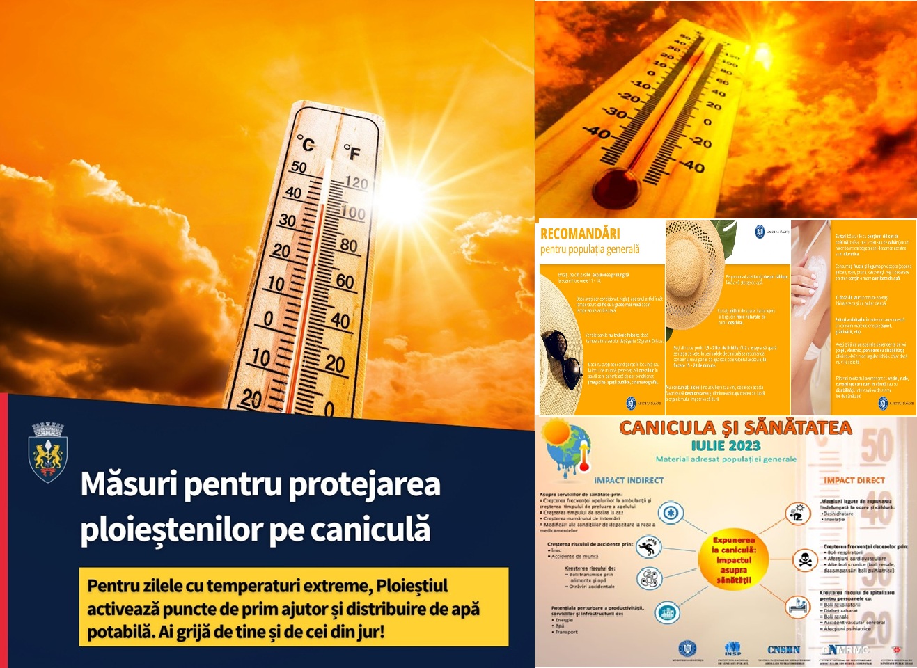 Poza